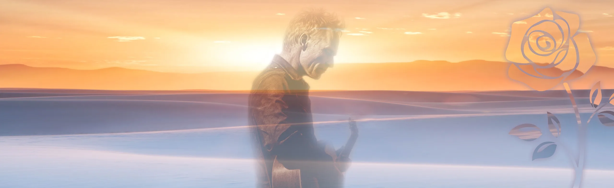 Desert Rose Symphony: Шоу Sting