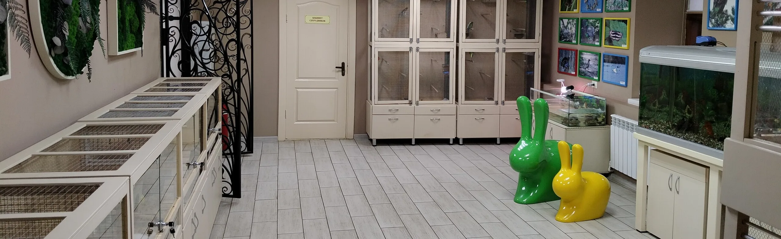 Живой уголок в Музее истории города