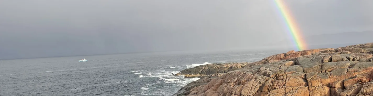 Кинематографичный поселок Териберка на берегу  Баренцева моря