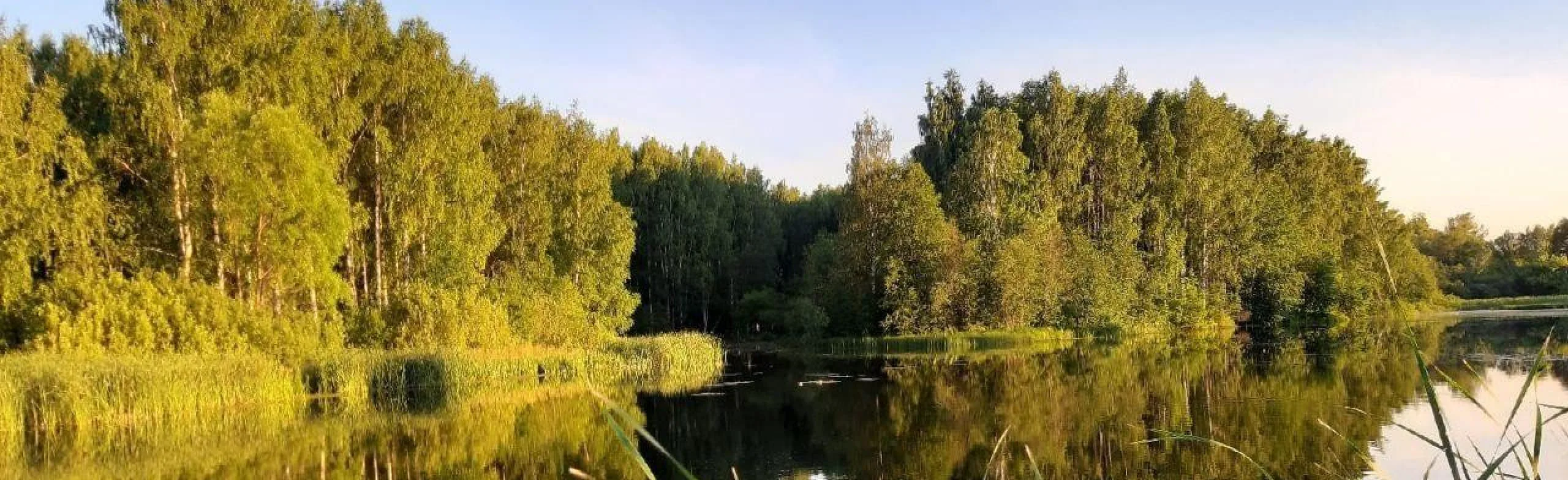 Люблю тебя, моя Россия! Программа