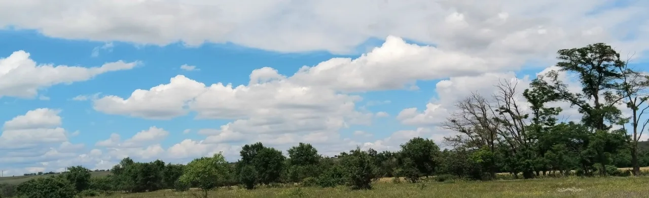 Патриотический час. Российская деревня