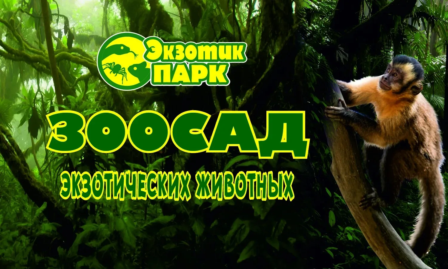 Зоосад Экзотик парк в Ростове-на-Дону