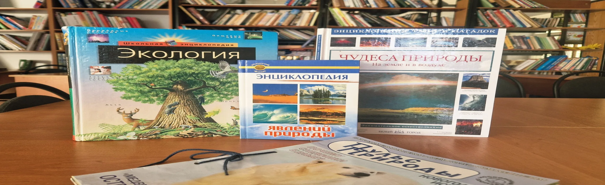 Литературное путешествие по миру природы. Литературно экологическая программа