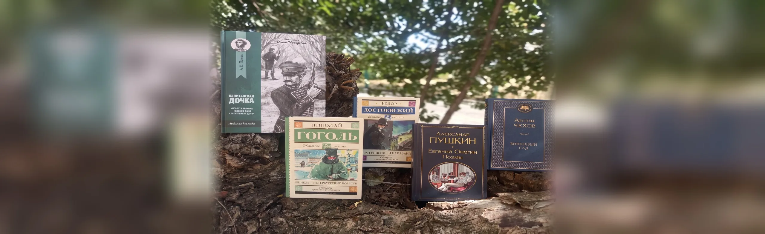 Путешествие в мир книг