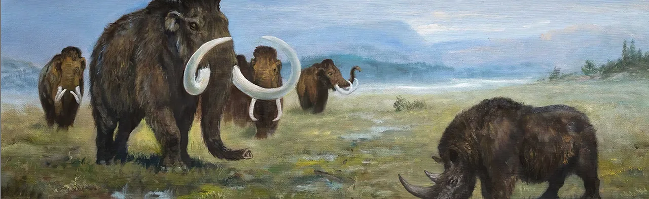 Палеонтология Дона. Выставка ( - )
