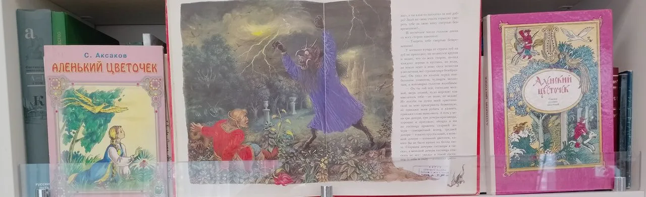 Один день с Аксаковым: Литературная гостиная