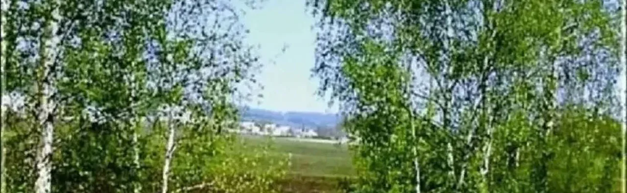Село мое родное: люди и судьбы. Краеведческий час