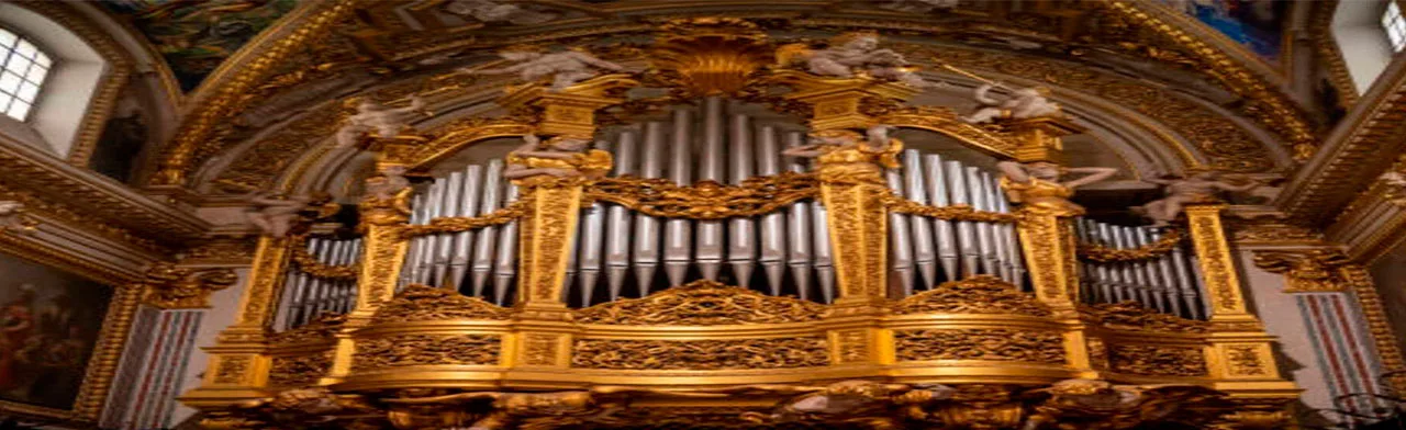 Витражи Notre-Dame