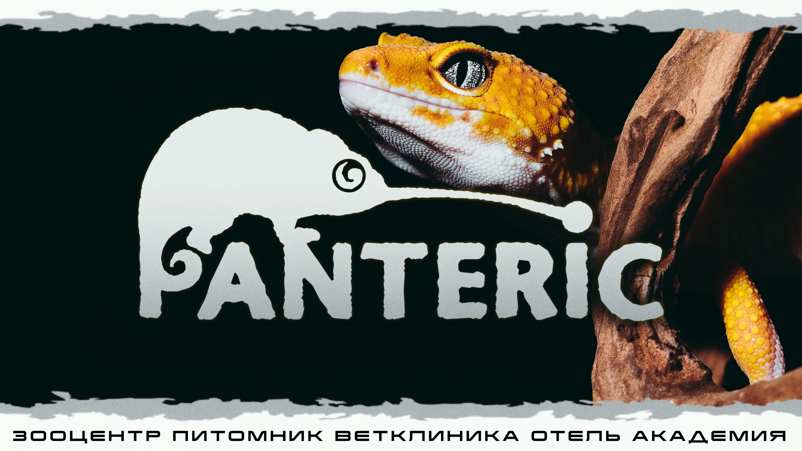 "Гекконы" Интерактивное знакомство с Экзотическими животными