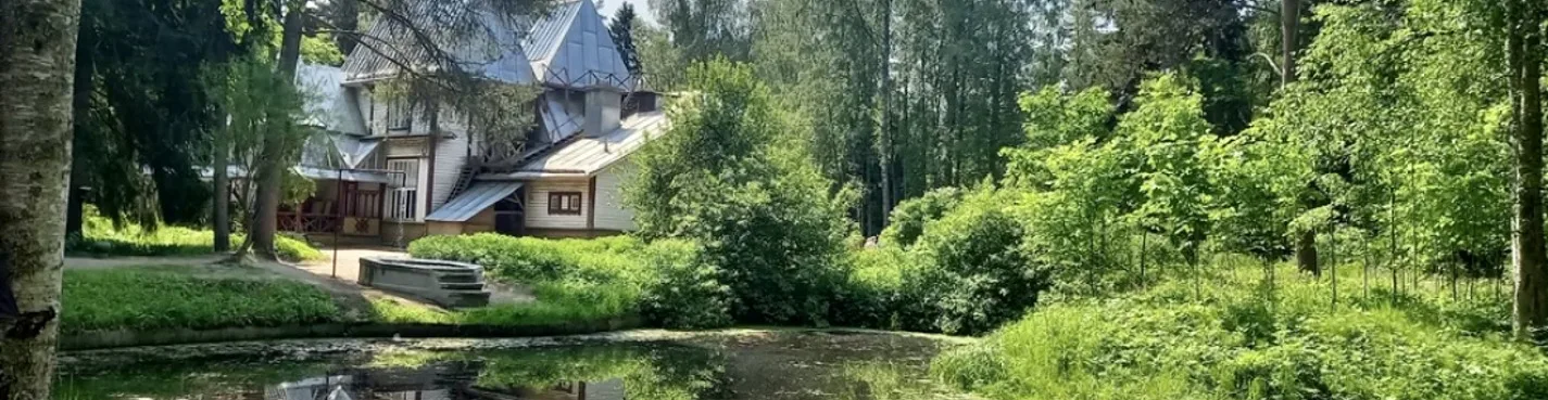 Приморский Парадиз: в Сестрорецк, Репино, Комарово и Зеленогорск