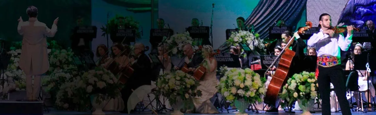 Белоснежный бал ШТРАУС и КАЛЬМАН. CONCORD ORCHESTRA