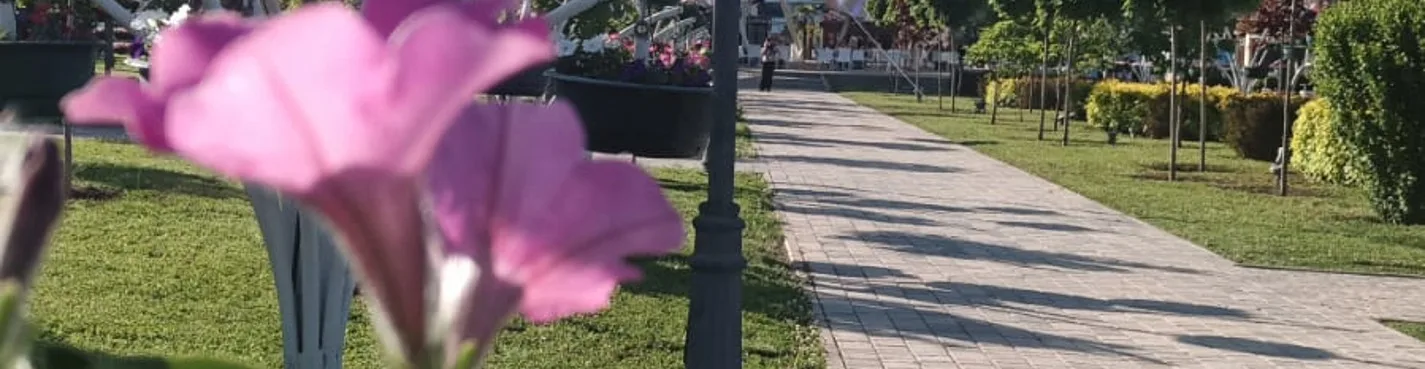 Негрозный Грозный: путешествие в сердце Чечни из Владикавказа