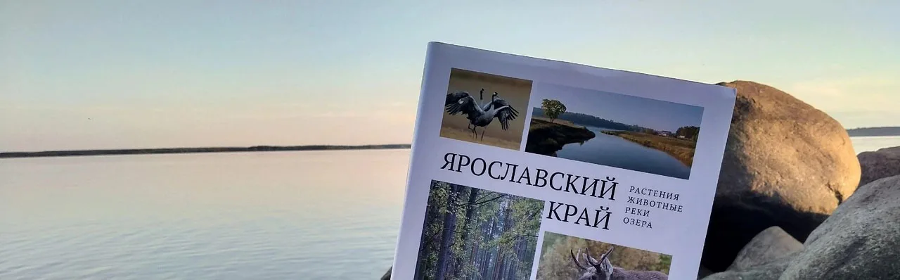 Заповедные места Ярославского края. Краеведческое путешествие